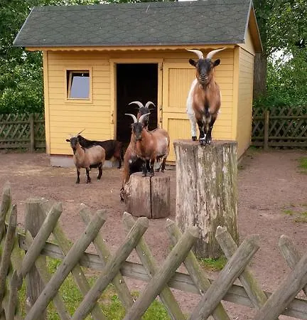 Hotel Pasewalk Hotel Pasewalk